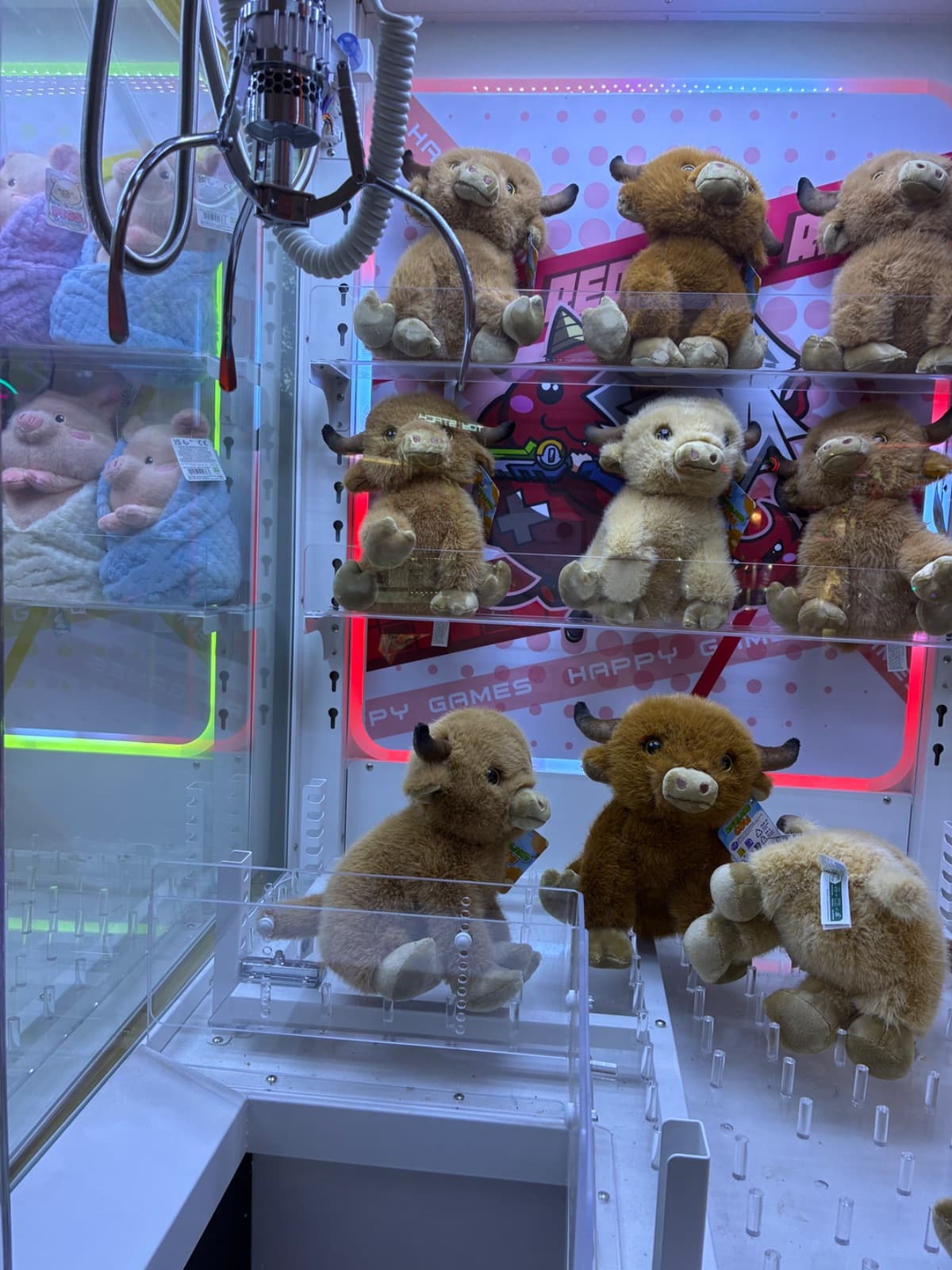 Claw machines at Stardust Amusements